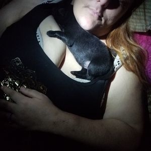 Meet your Posher, Tracy